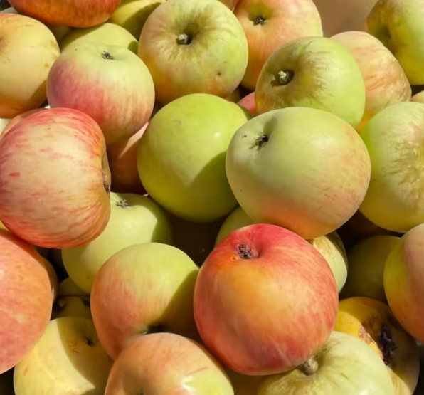 Assorted apples in various colors including red, green, and yellow.