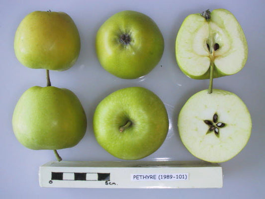 Perthyre