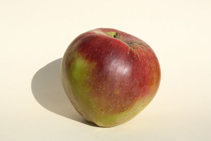Red and green apple on a beige background