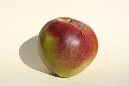 Red and green apple on a beige background