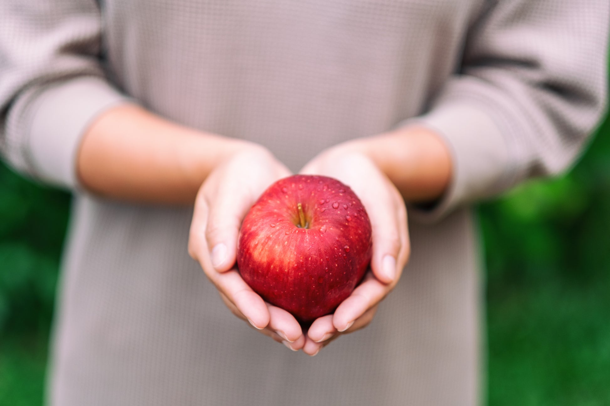 Person holding a red apple in their hands with a blurred green background
