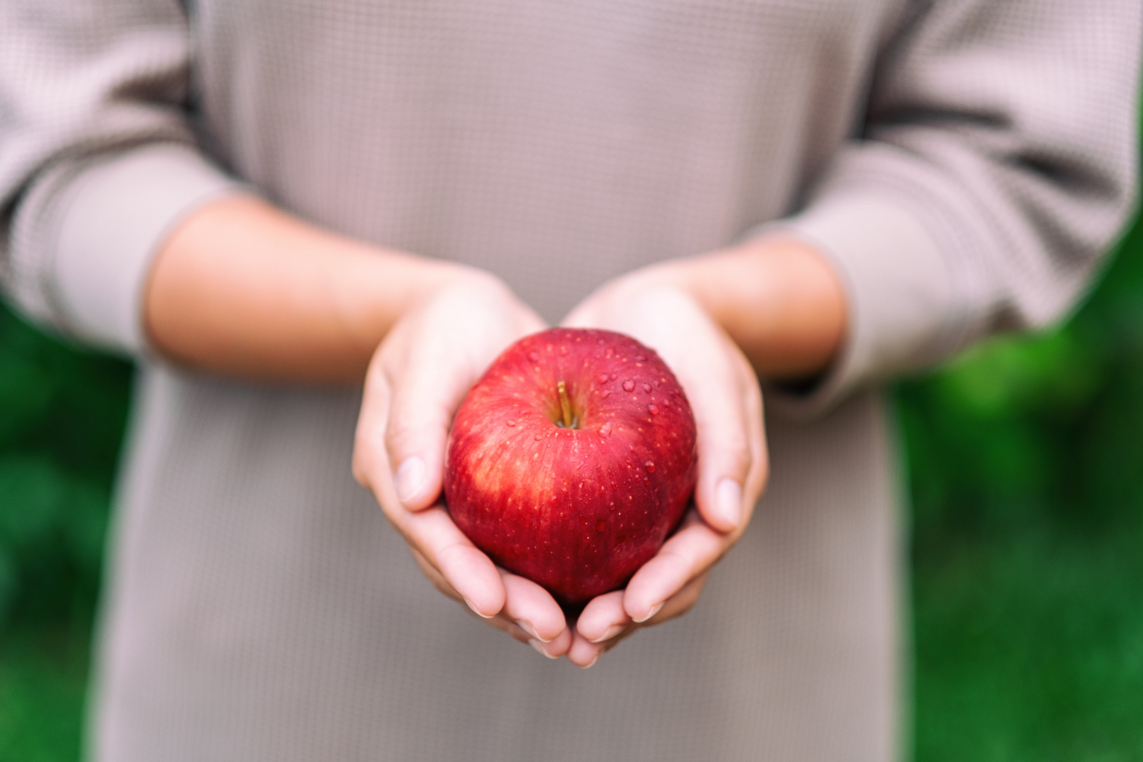 Person holding a red apple in their hands with a blurred green background